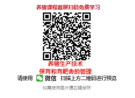 �������ʣ�������img.bim99.cn