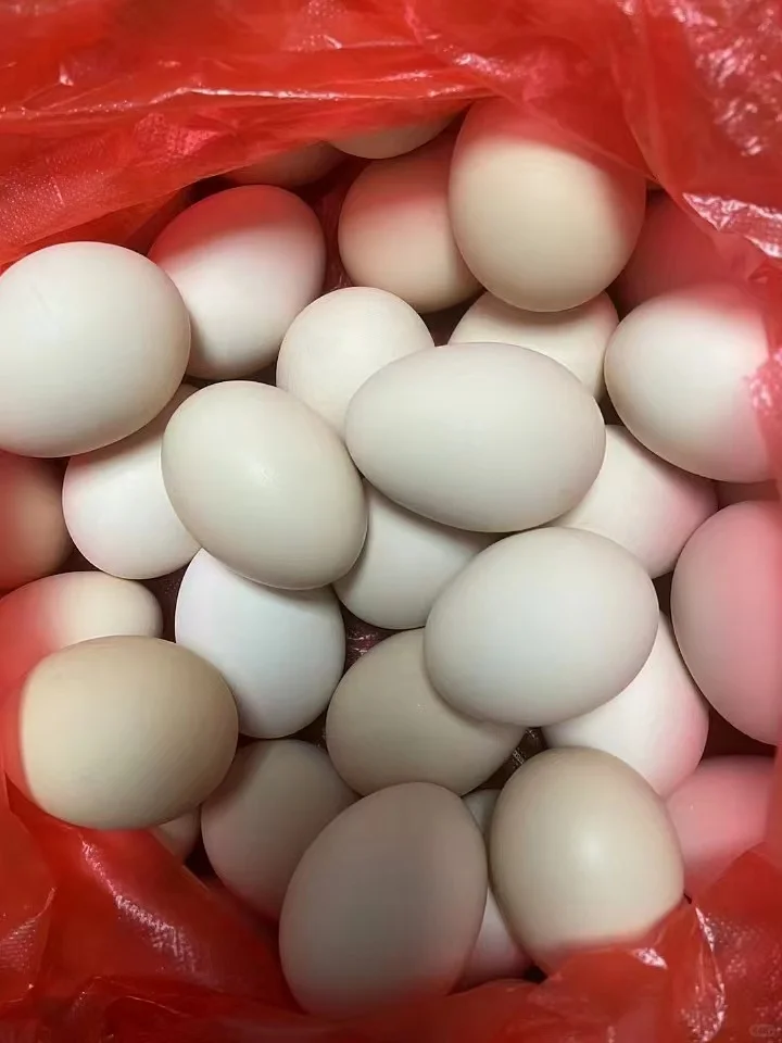 һڶҸ