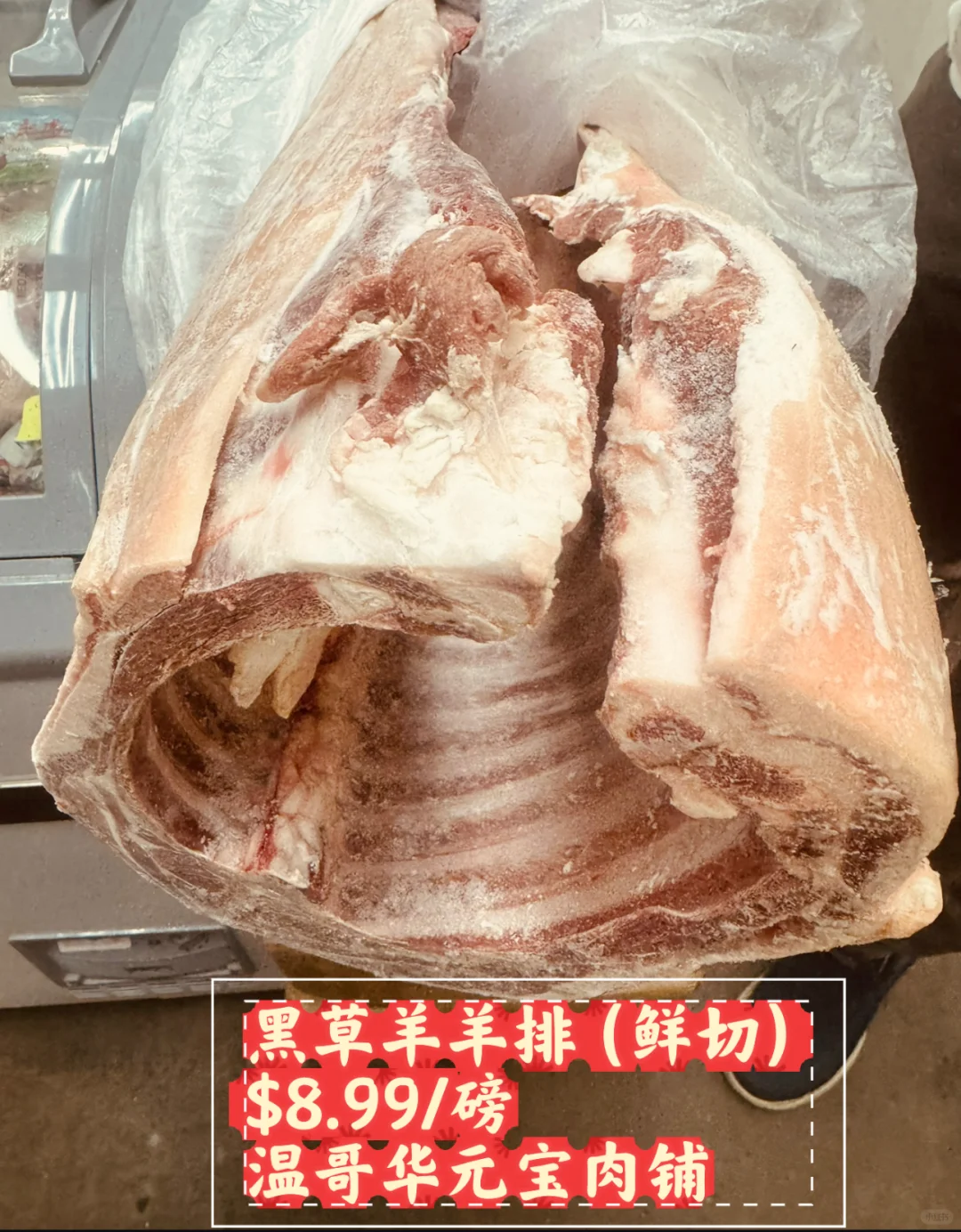 ţ??ѩţ?ţ?Ы