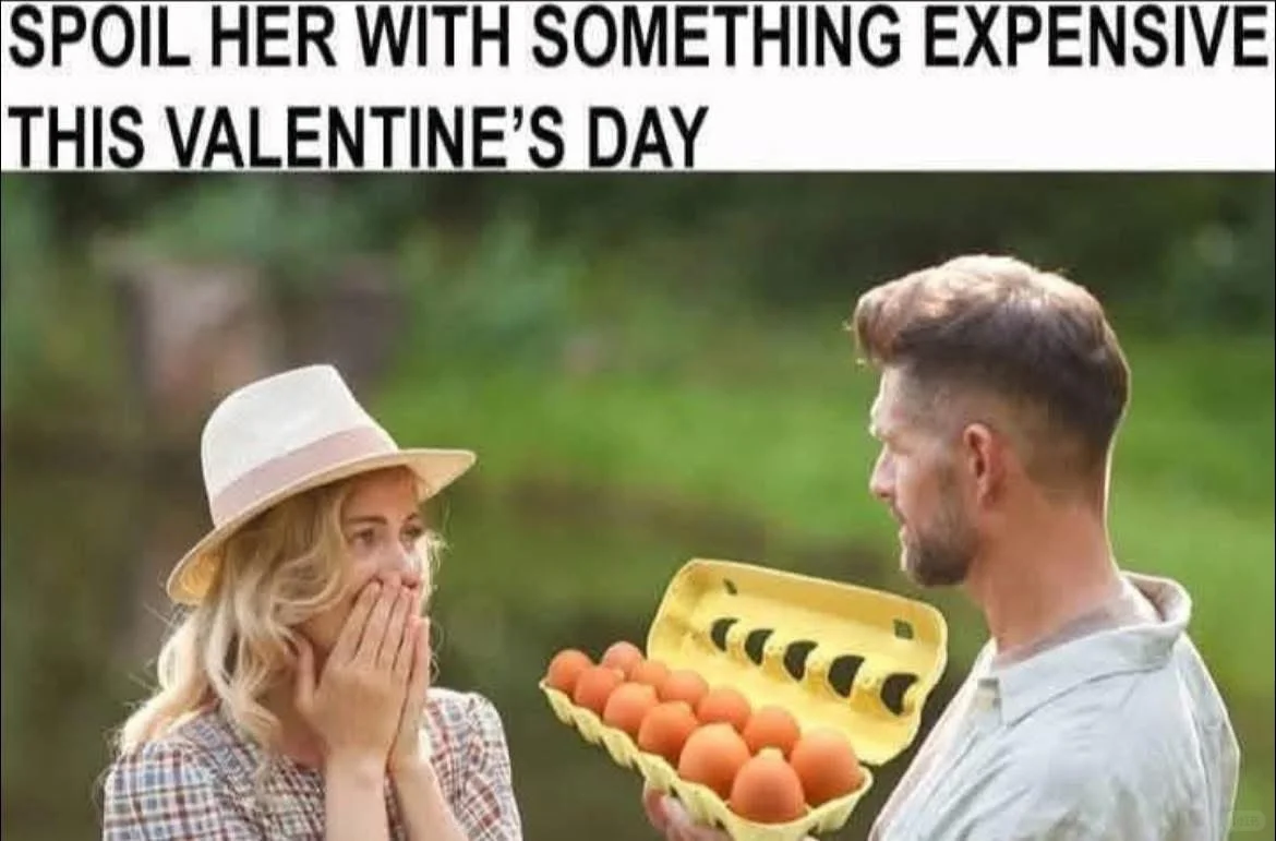 ˽