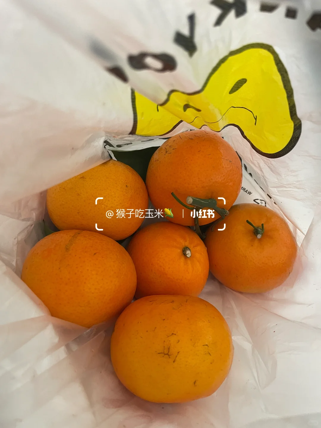 ���ݣ�����ǧ����կ