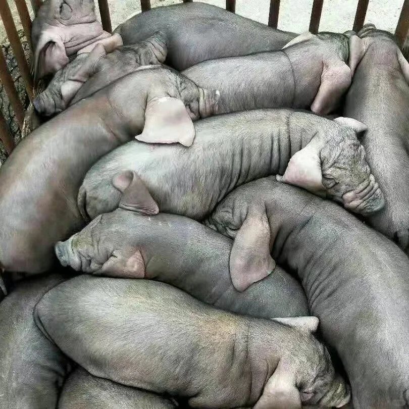 �差����ֹ����۸�