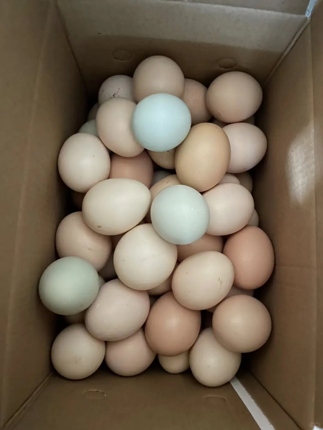 ����������1.5һ����img.bim99.cn?