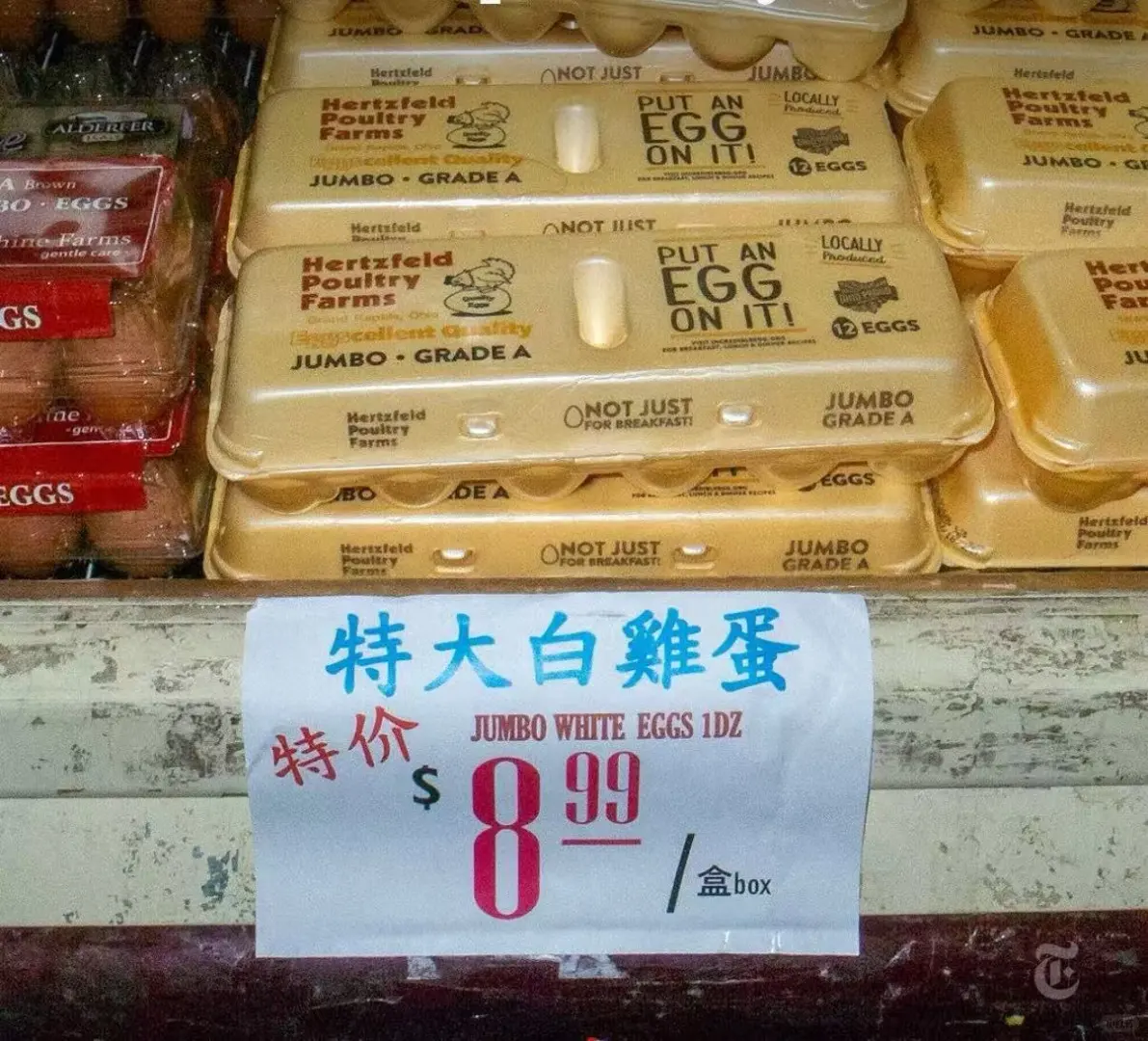 챨?۸ǣŦԼһ$8????