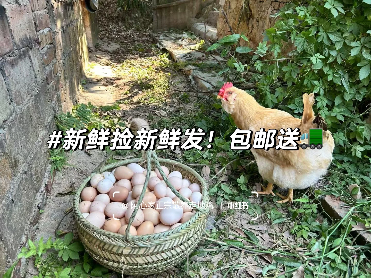 ?��������?����ũ�img.bim99.cn��??