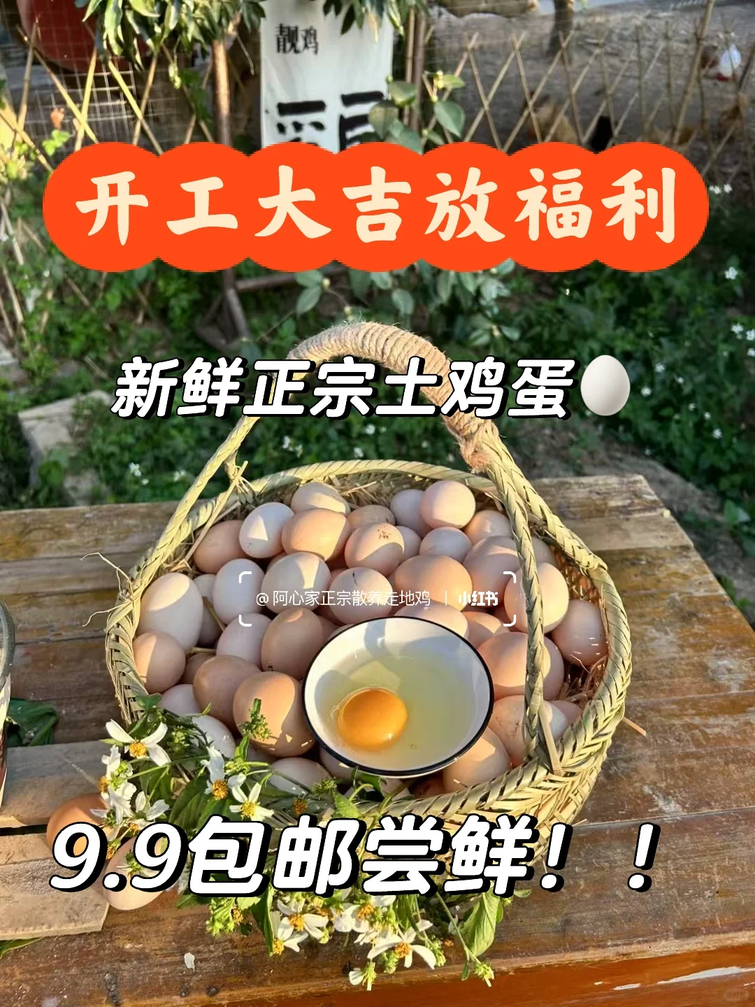 ?��img.bim99.cn��������9.9����??