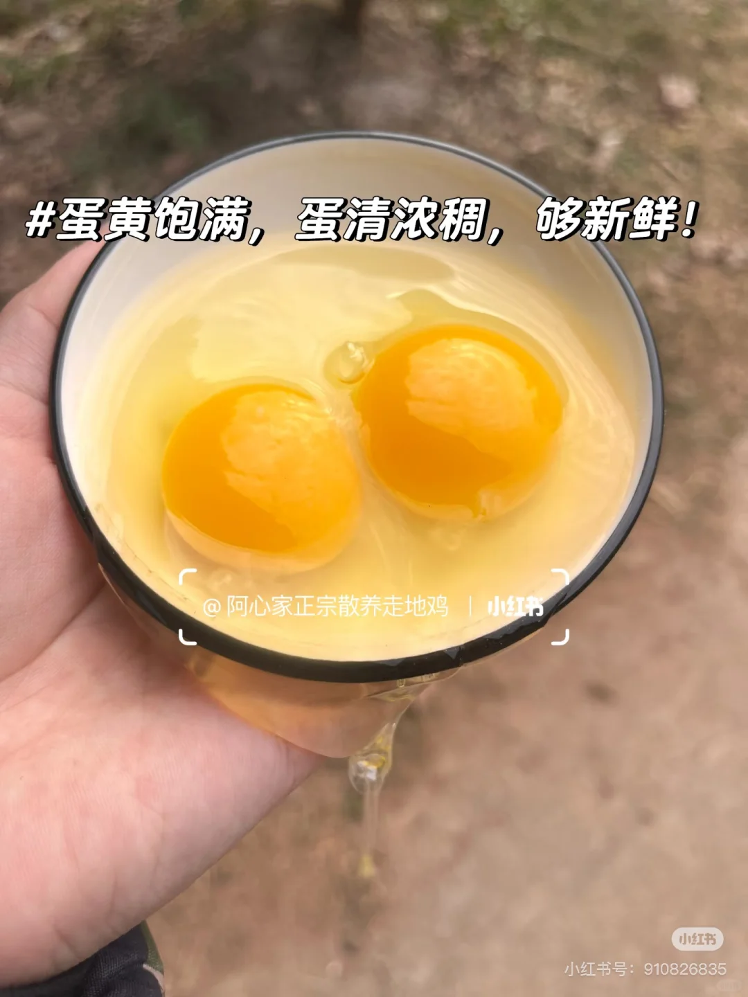 ?��ʱ����?����ũ���img.bim99.cn?