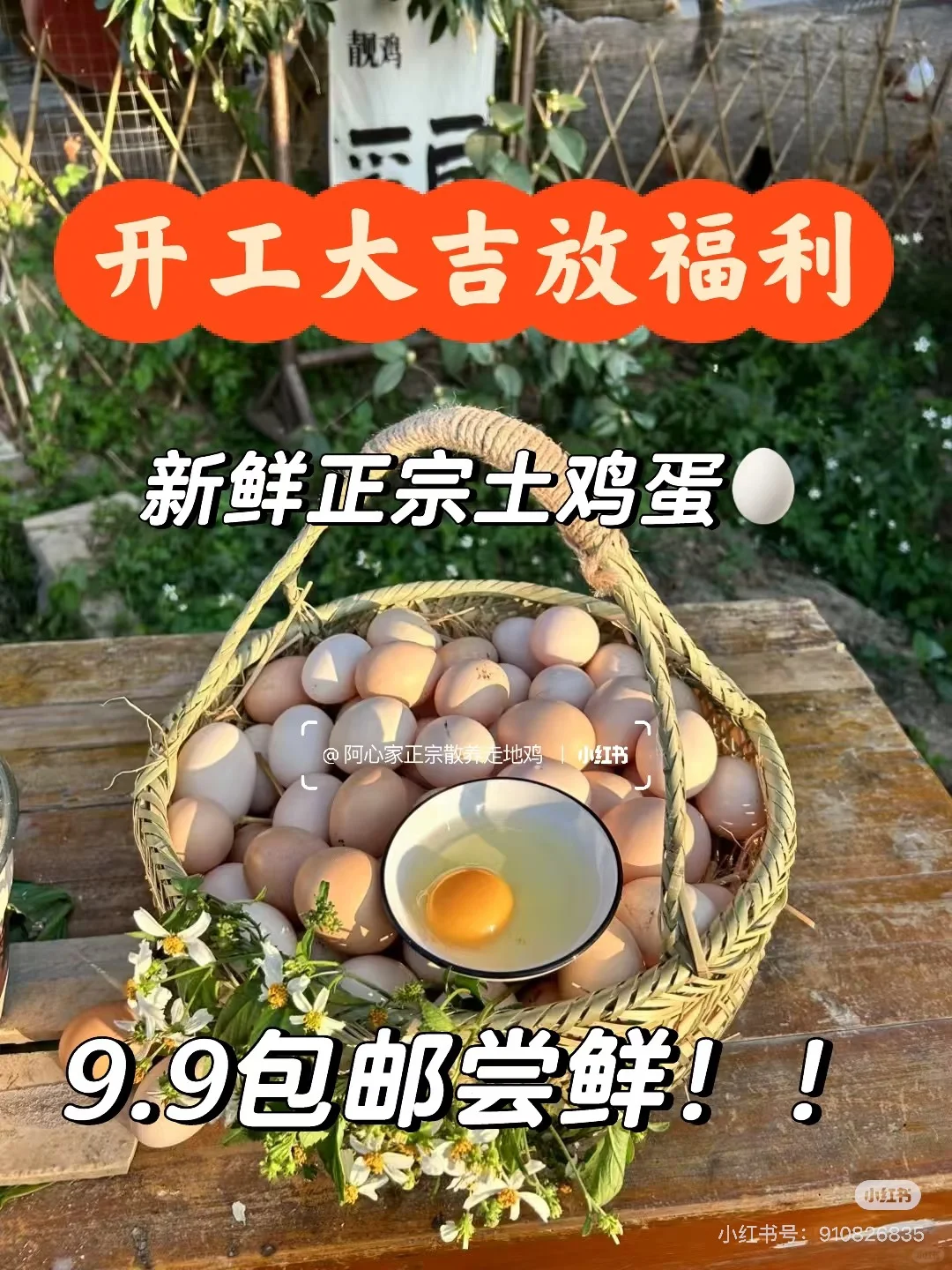 ?��ʱ������һ����img.bim99.cn�?