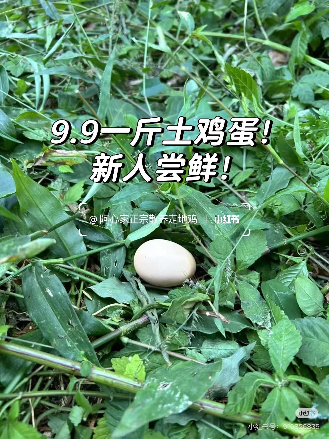 ?��ʱ����?img.bim99.cn�9.9����?