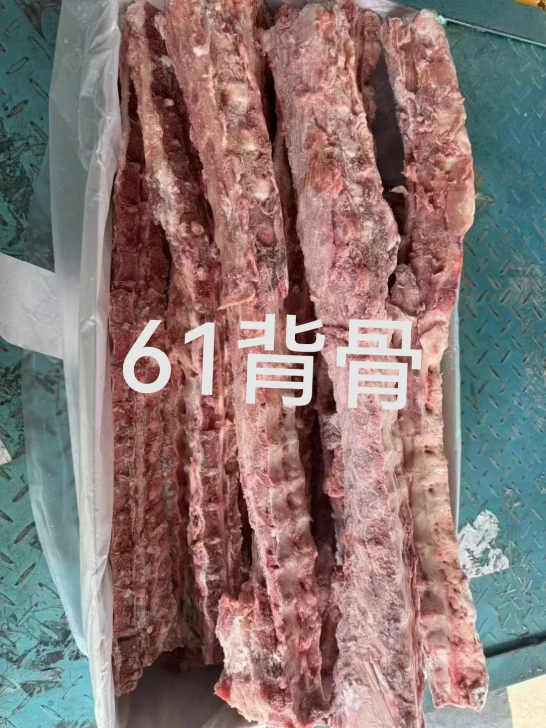 ֮컷day5