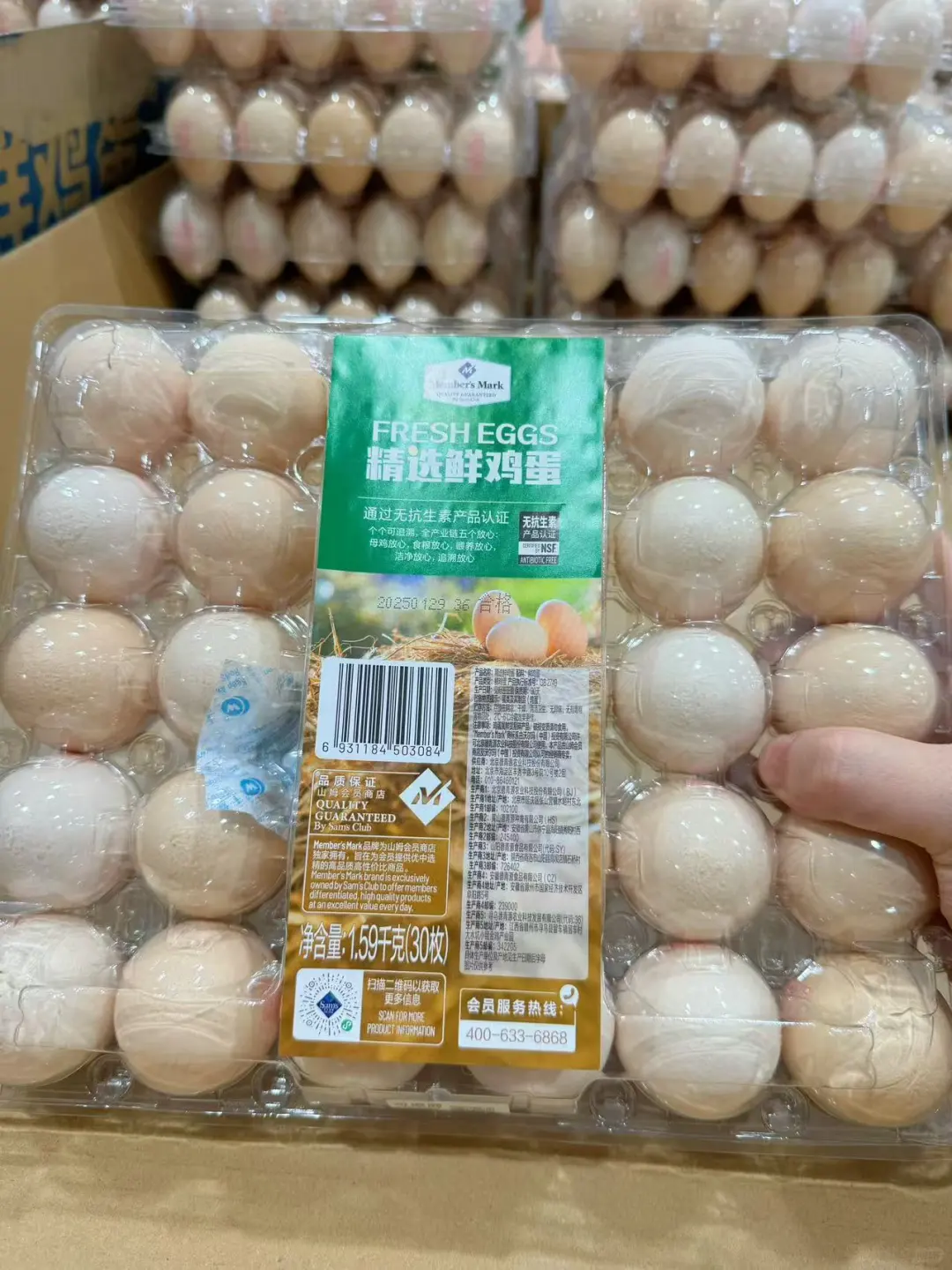 �޿��ļ���19.9һimg.bim99.cn�����