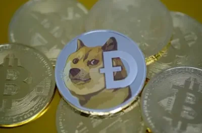 doge۸Ԥ⣺2025ܷ1Ԫأ