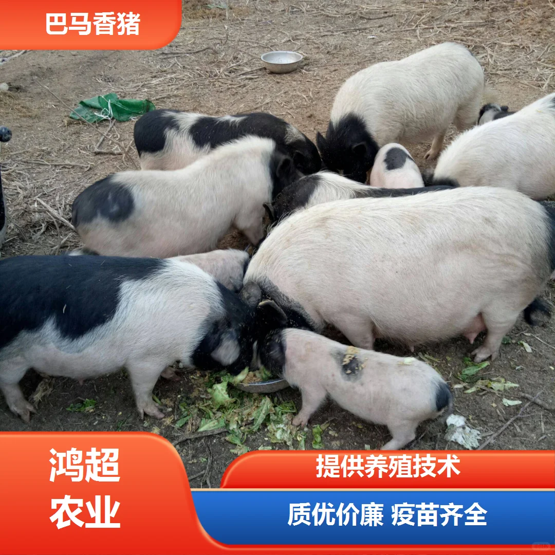 еаǮ