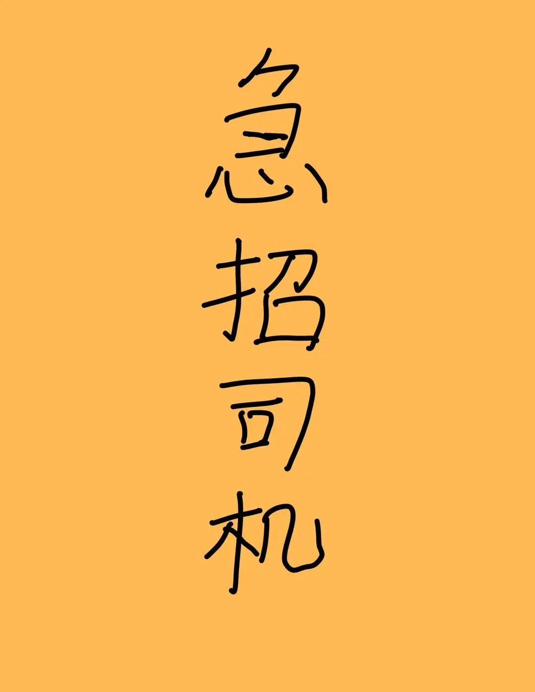 ˾