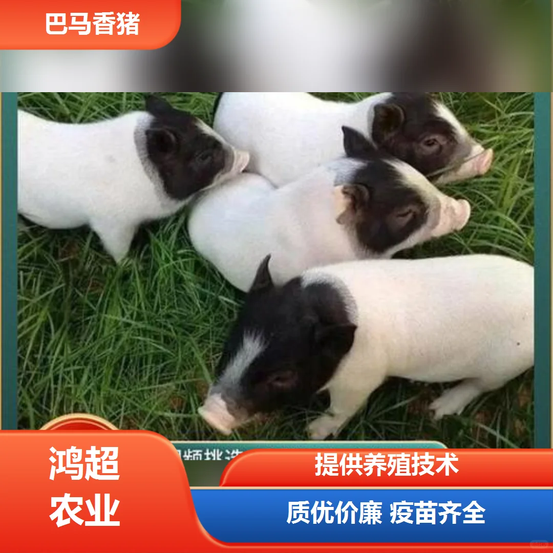 �����ж�img.bim99.cn/p><p style=