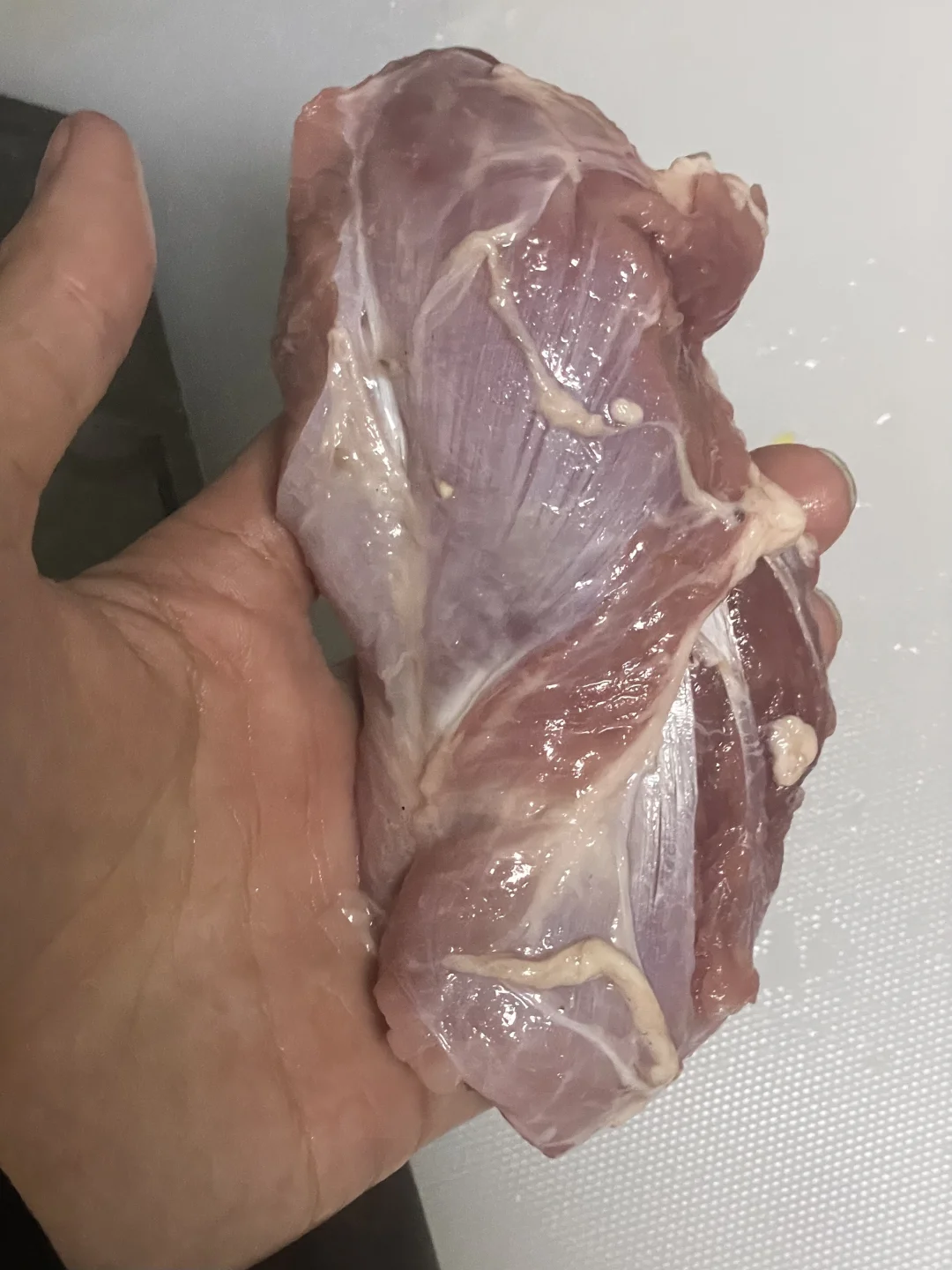 �����ǣ��Ҷ����ǲ��Ǳ����г�����