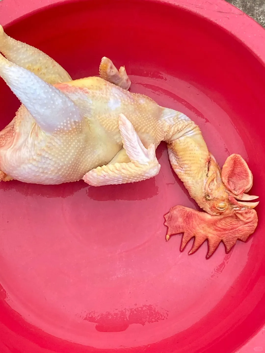 ԼɢС۸ĸˣ