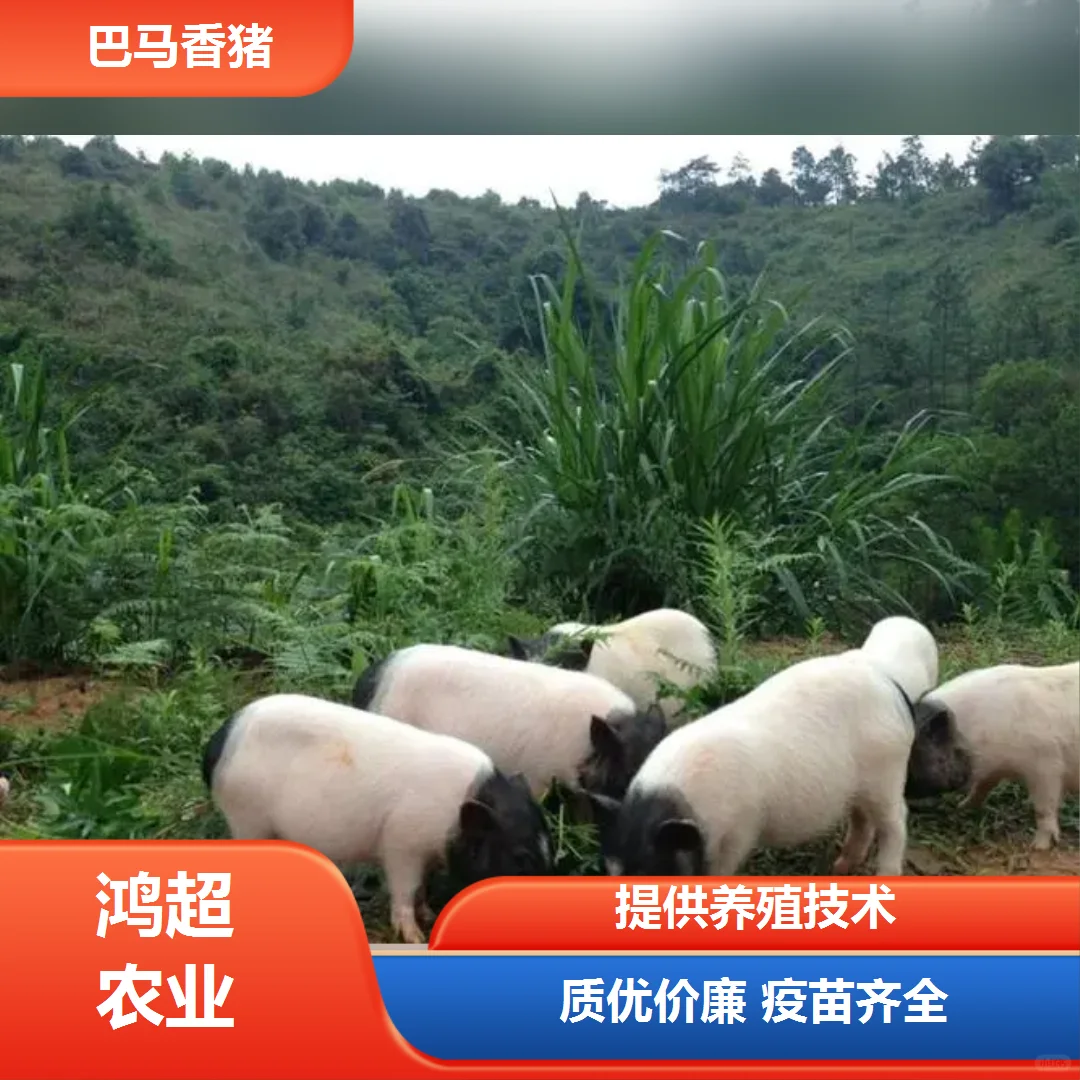 img.bim99.cn����