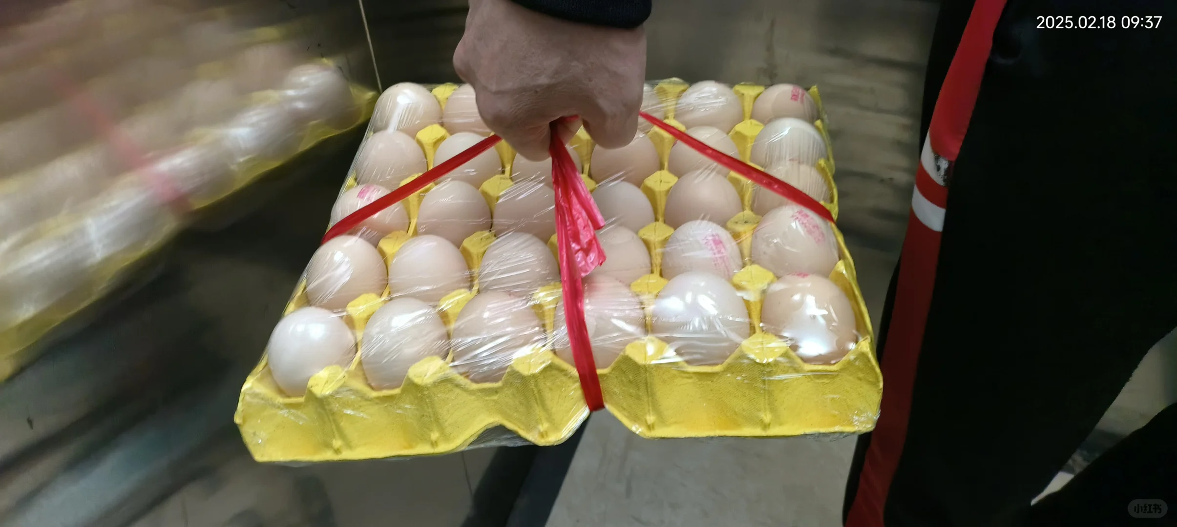 ����ļ�������Ǯ��