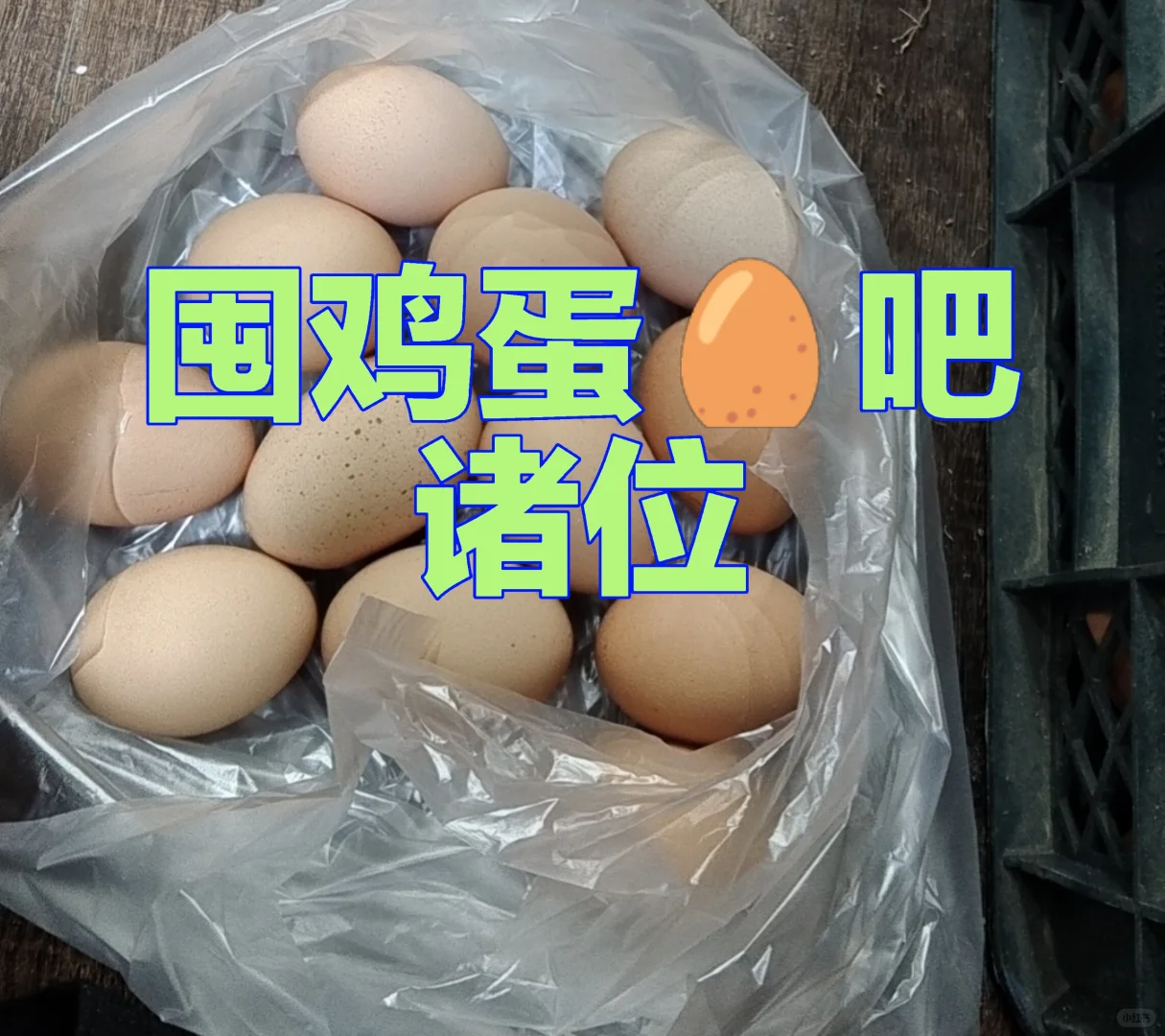 ����һ��Ѷ�����������ֲ�12��Ǯ