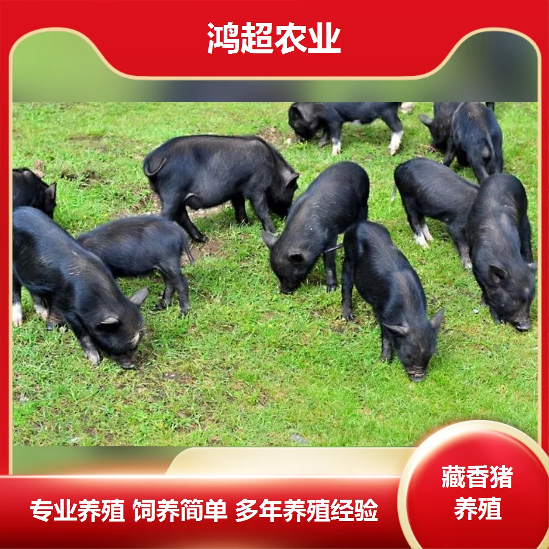 ��img.bim99.cnǮһ��