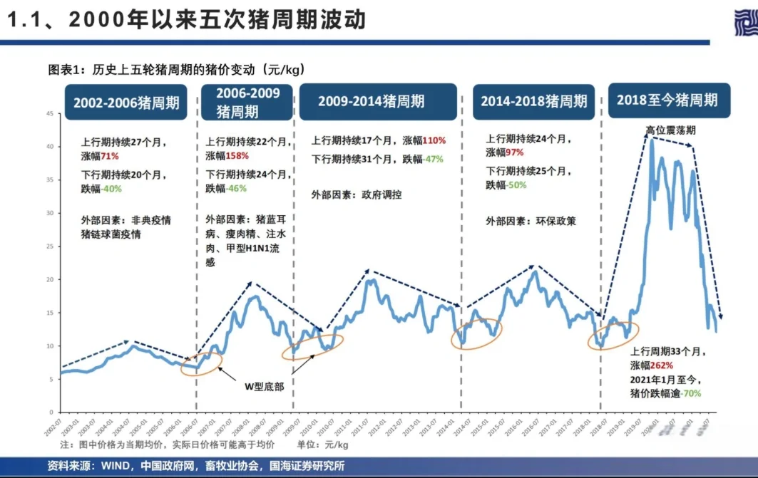 播客推荐｜猪周期一次说清【超级干货】