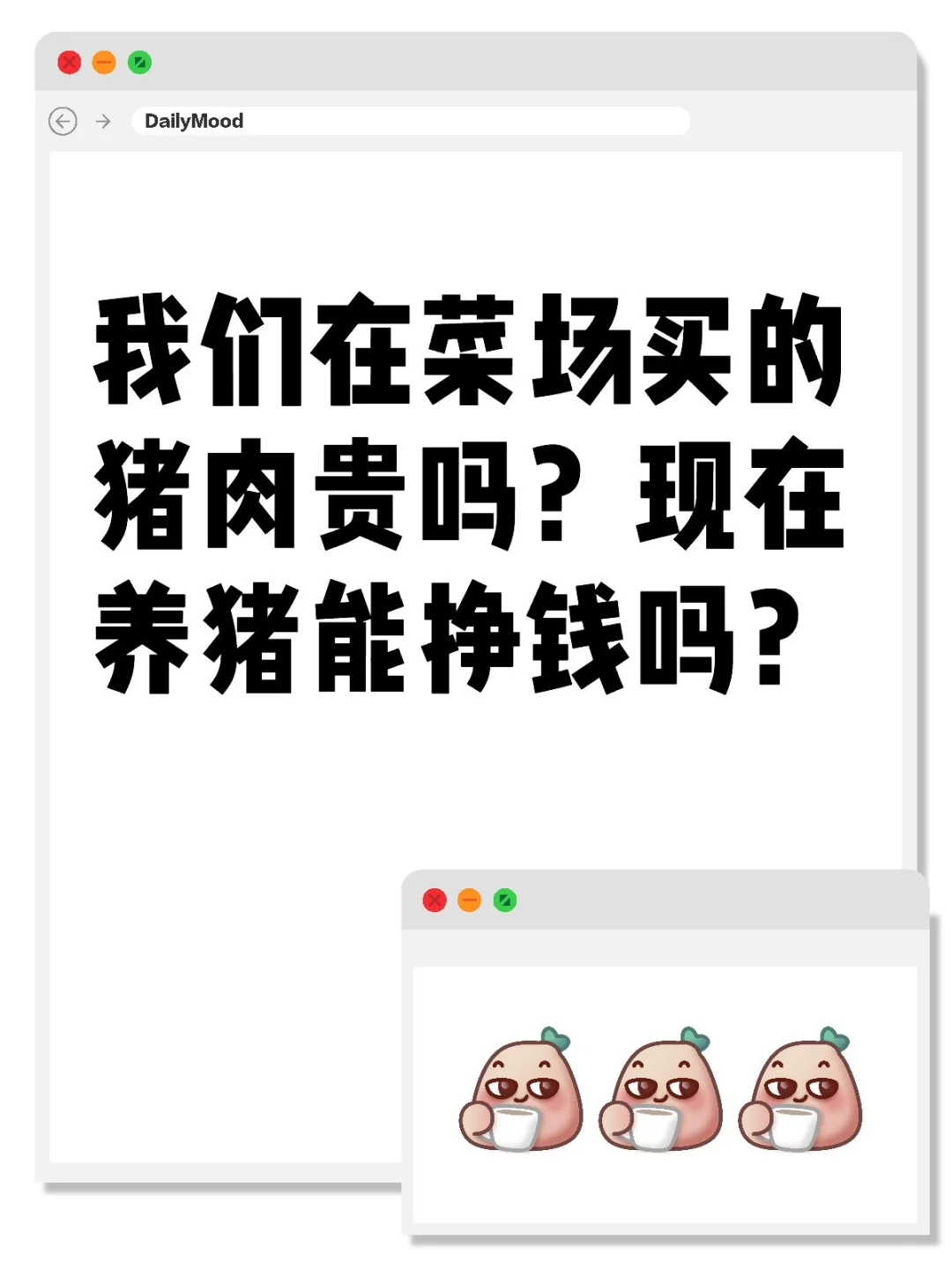 �����ڲ˳�����������������������Ǯ��