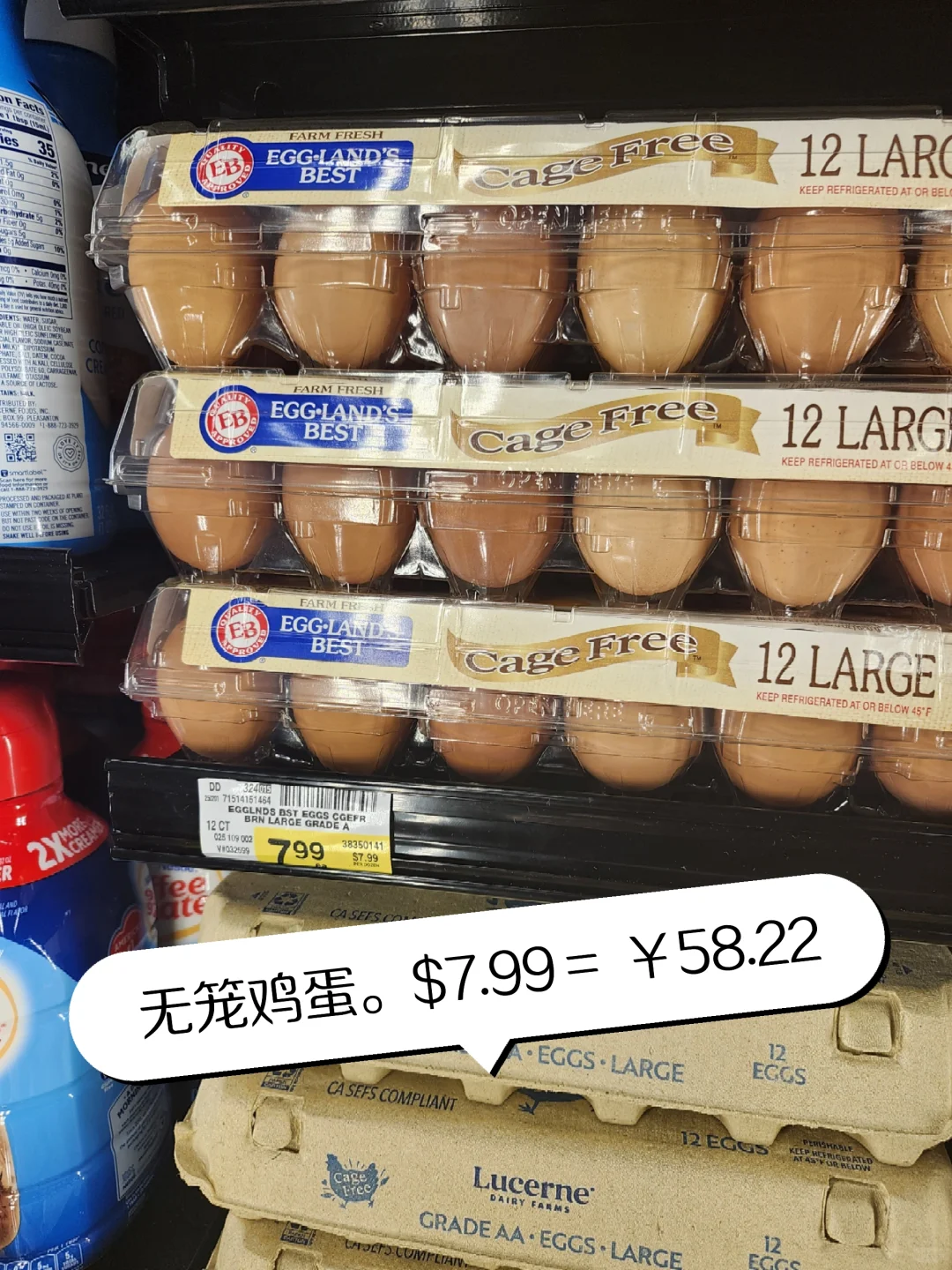 �ҵ���ļ����۸�!!!!!