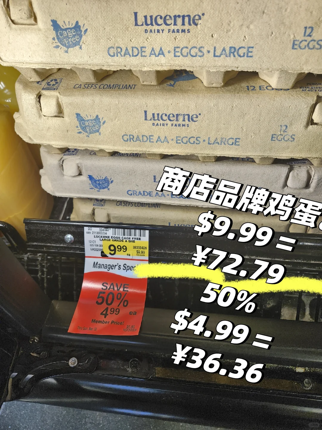 �ҵ���ļ����img.bim99.cn><p style=
