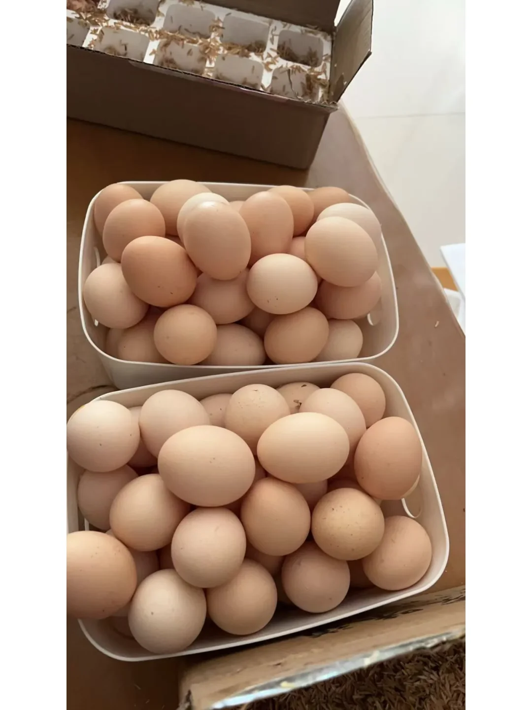 �����img.bim99.cnë��޶������