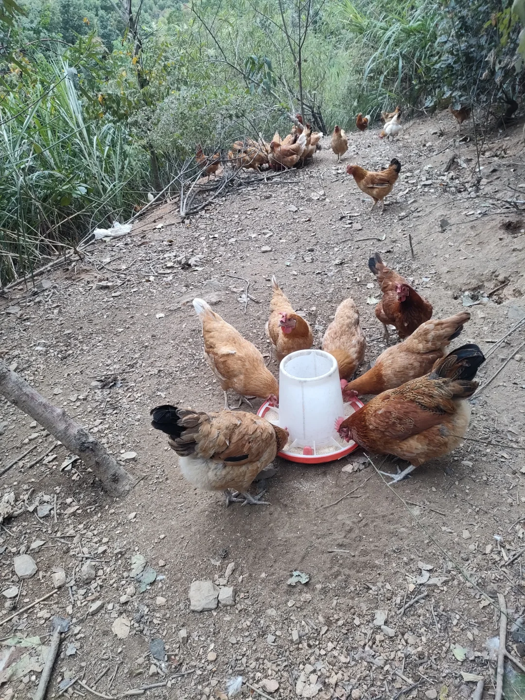 ��������1��Ǯһ����������