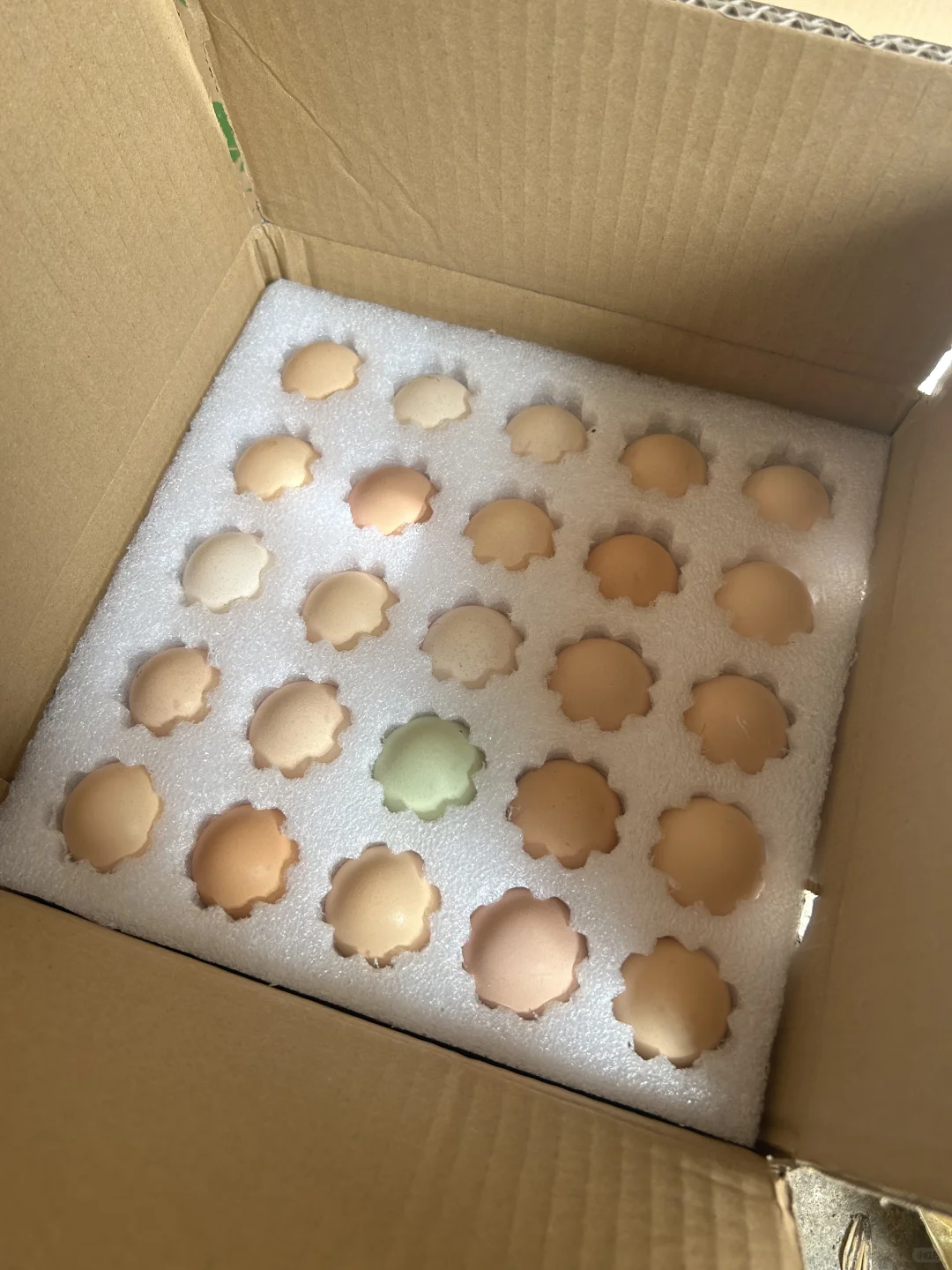 ������װ��ô��ô��