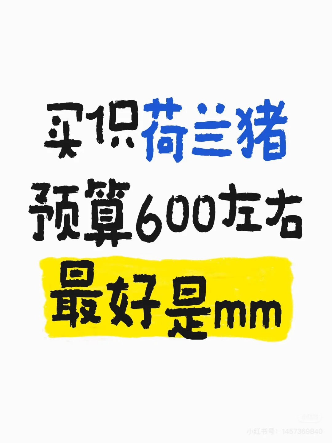 mmɿɰ̻