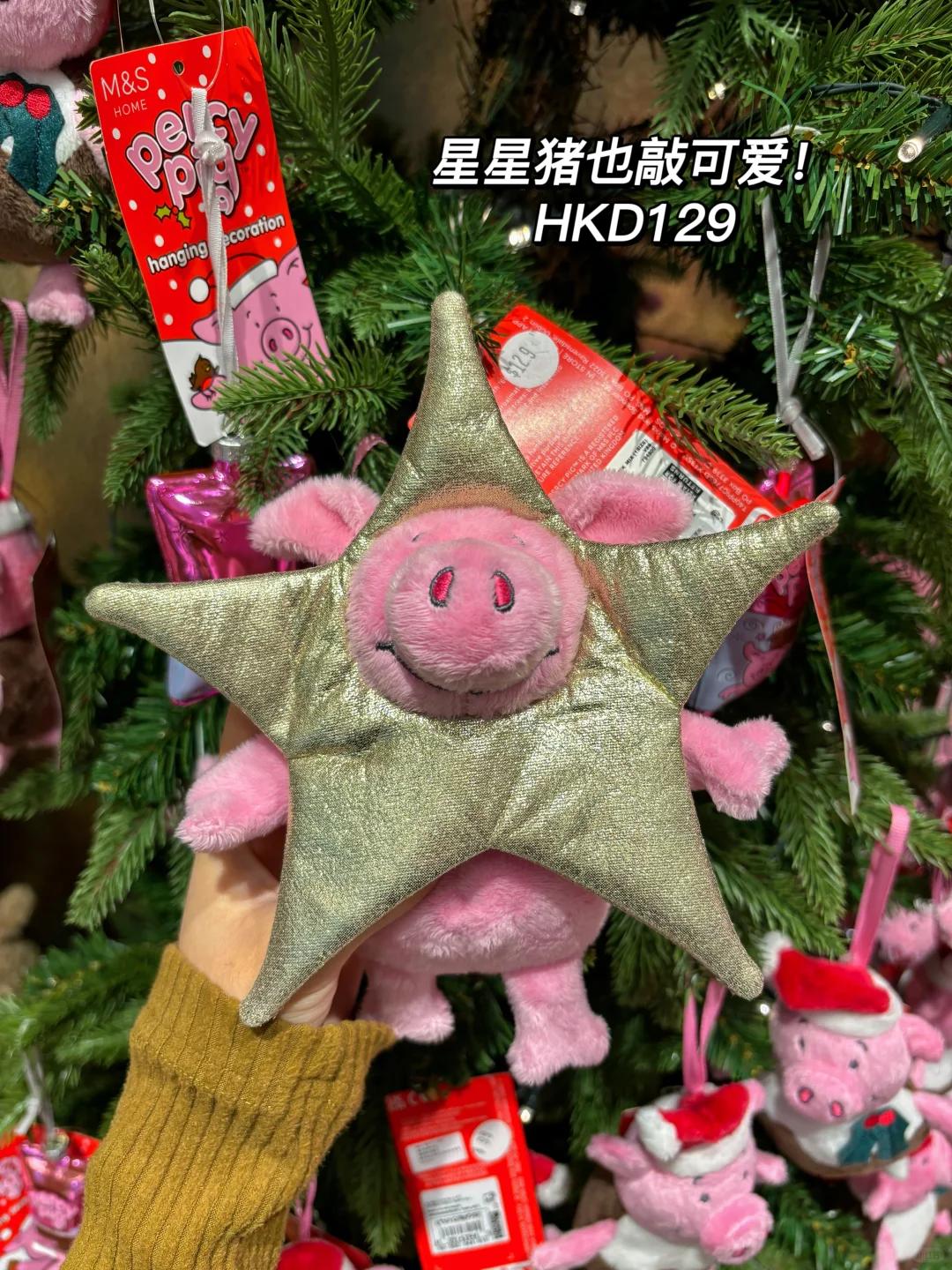 香港太古城玛莎猪好多货！11款购买全攻略！?