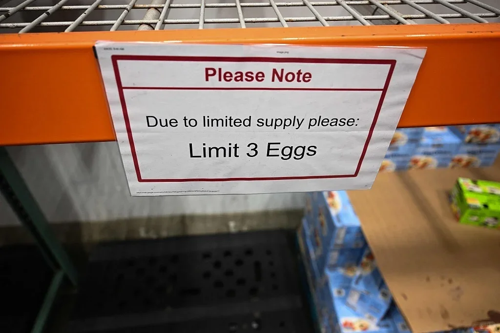 ģ˸