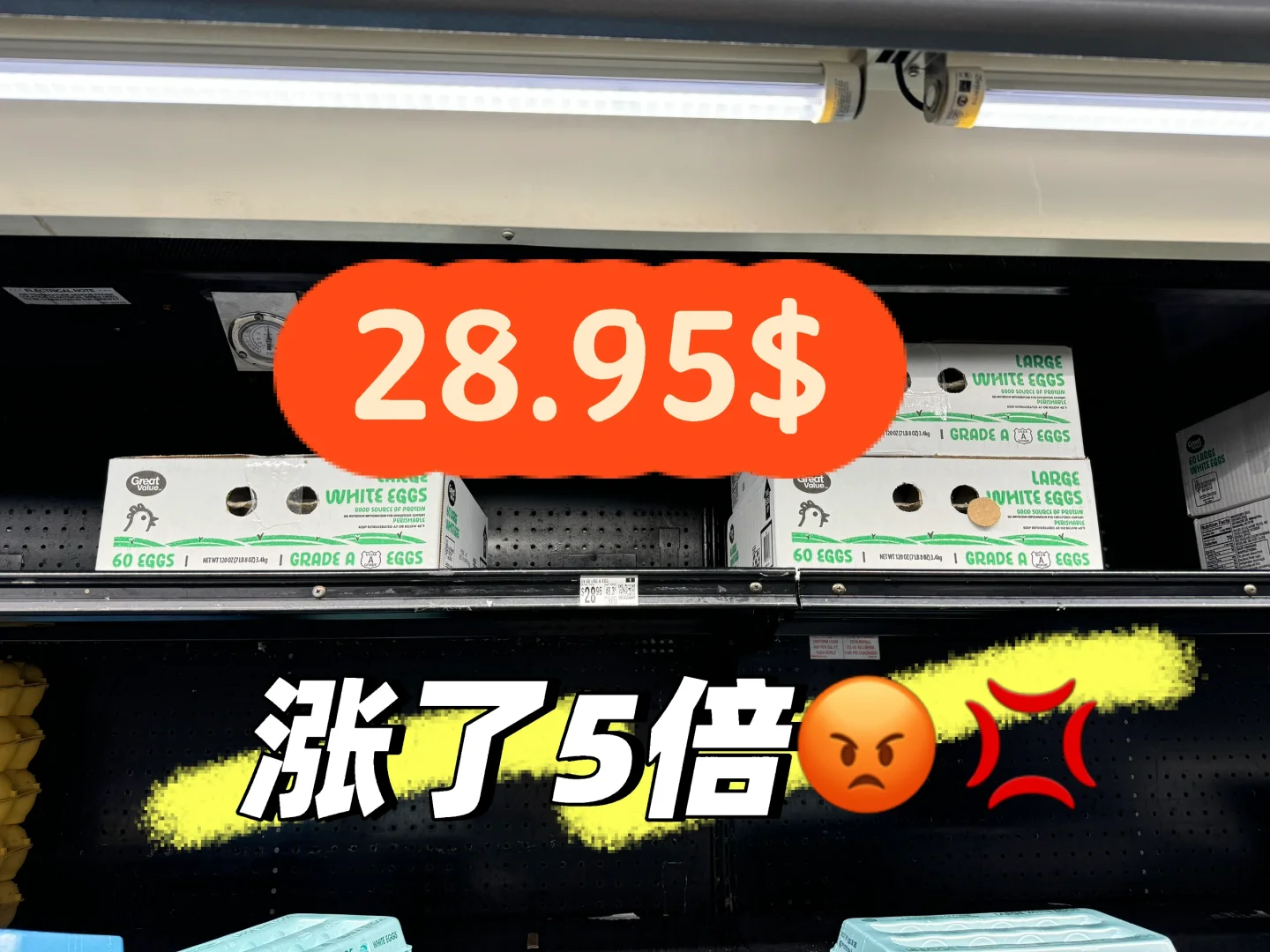 ļǵףˣ