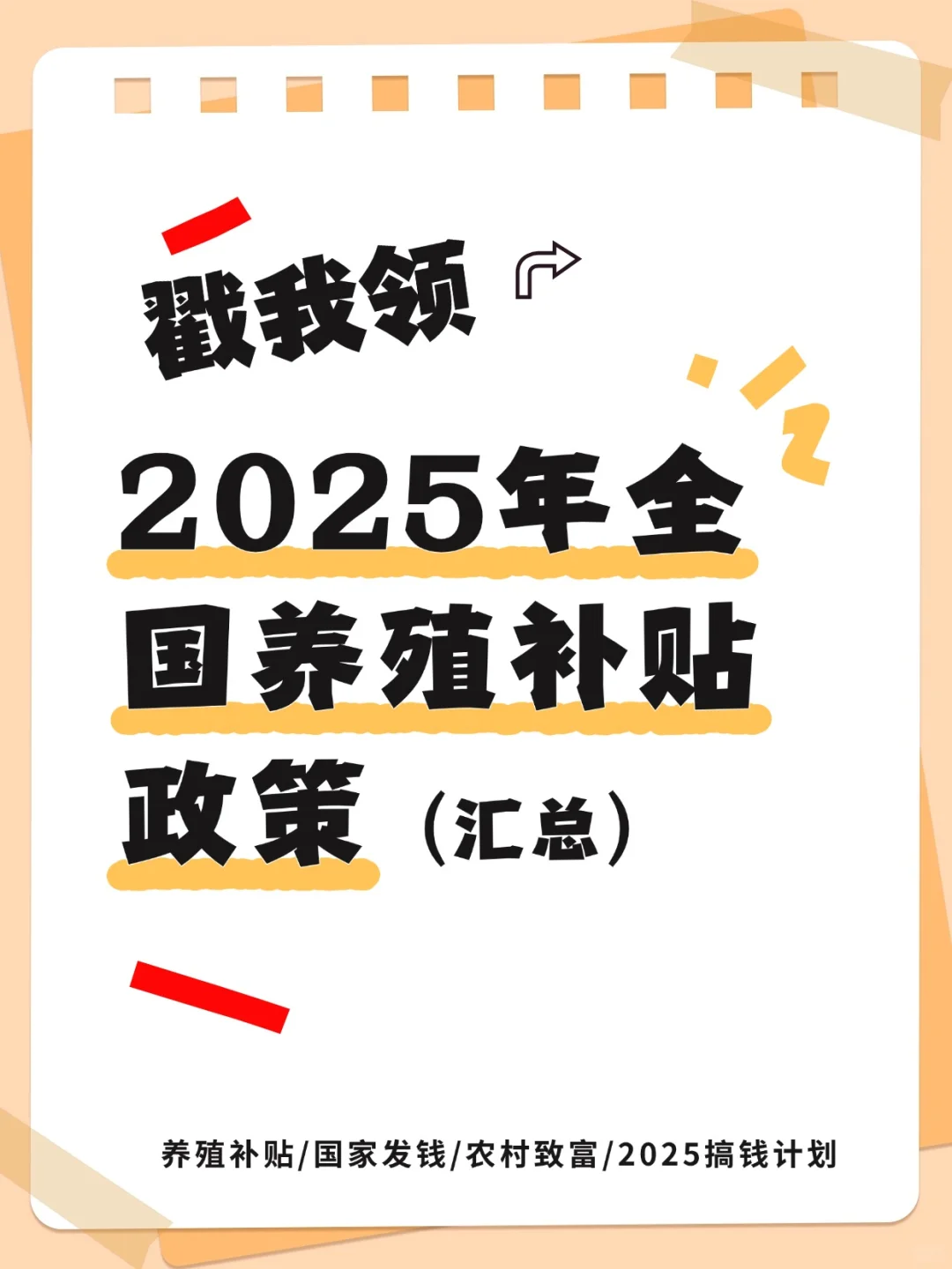?2025������Ǯ������img.bim99.cn��