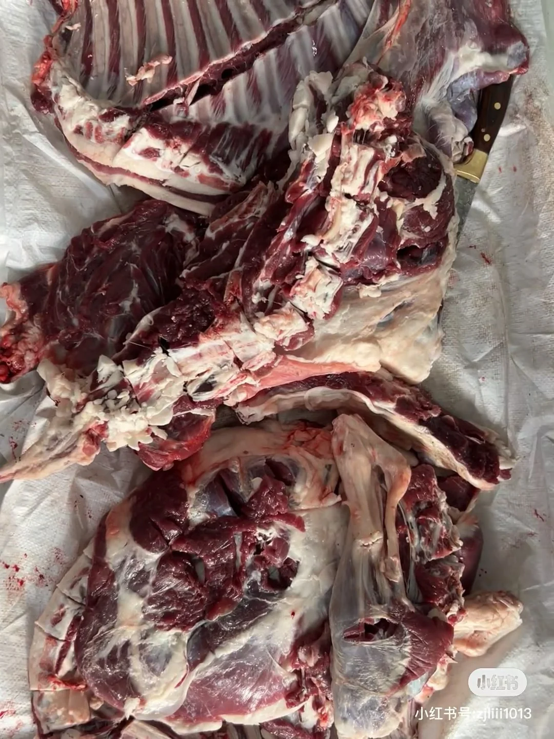 �½img.bim99.cn�����