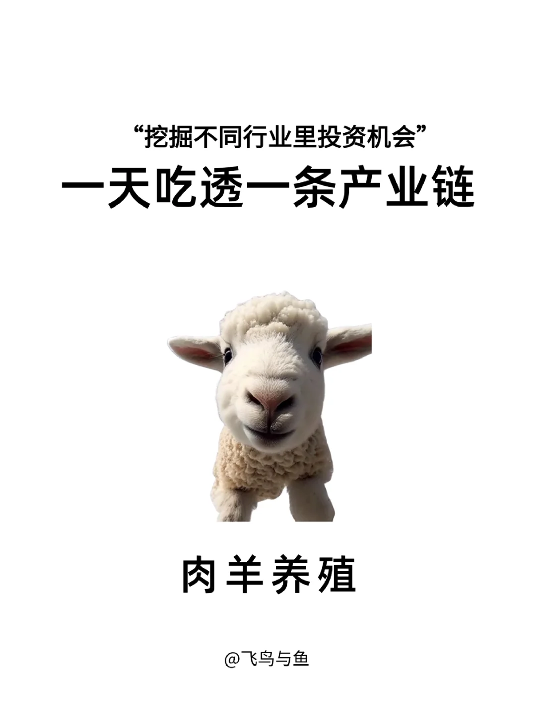 һ͸һҵ:NO1ֳ