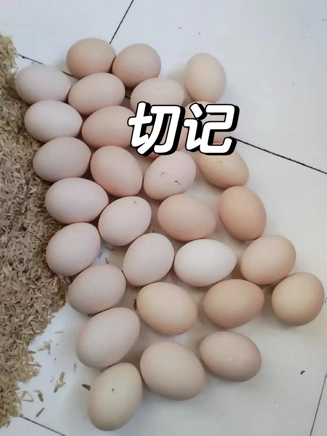 ǧǧŶ켦