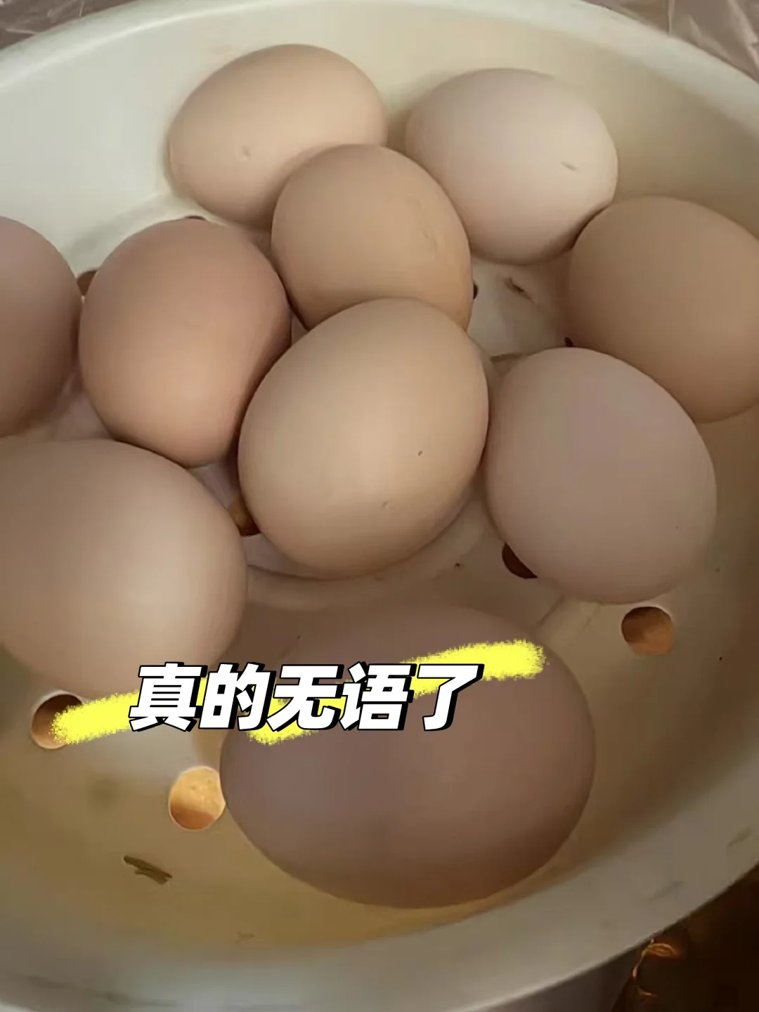 ȻڿŶΣ켦