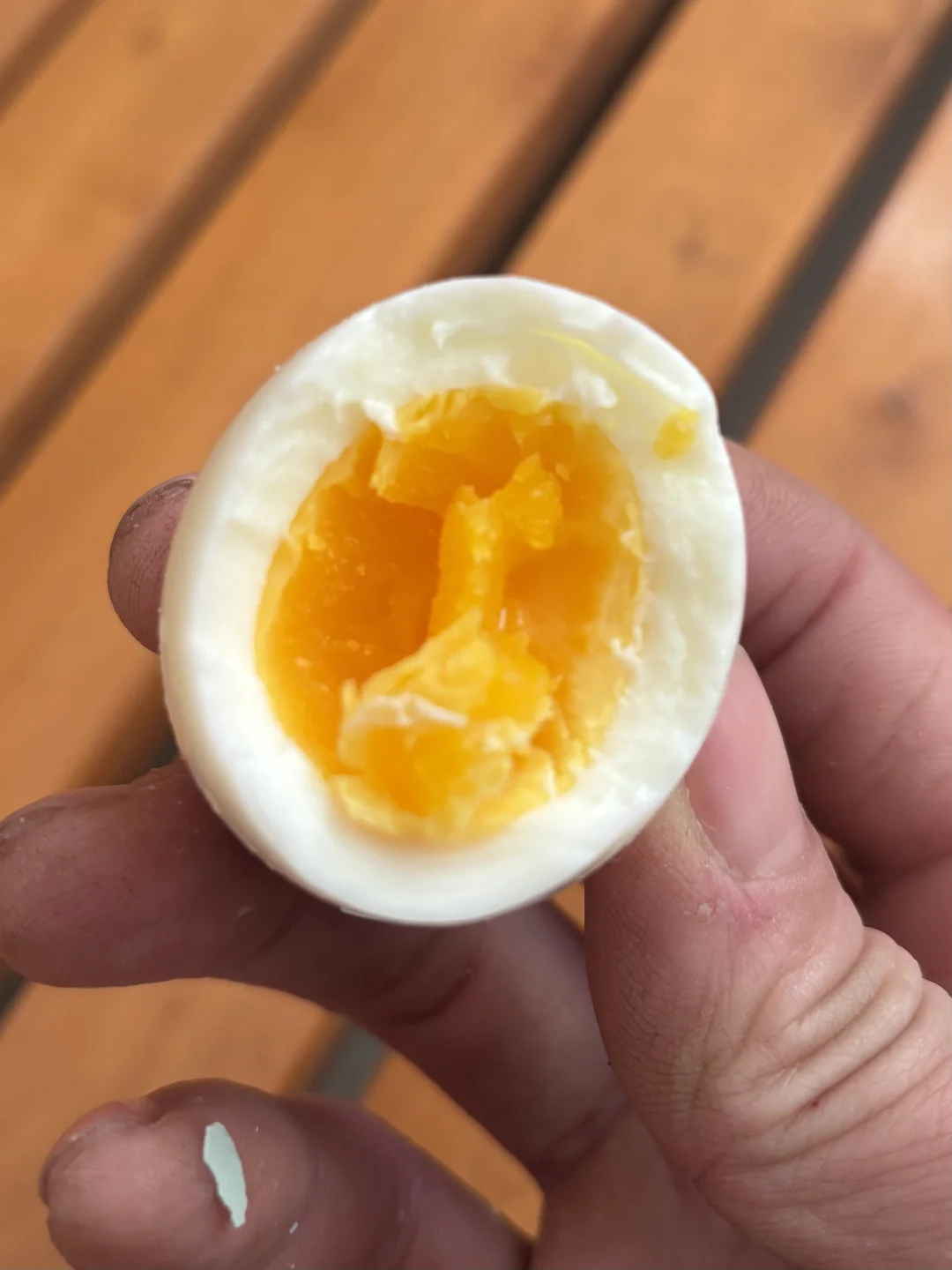 ǣڵ