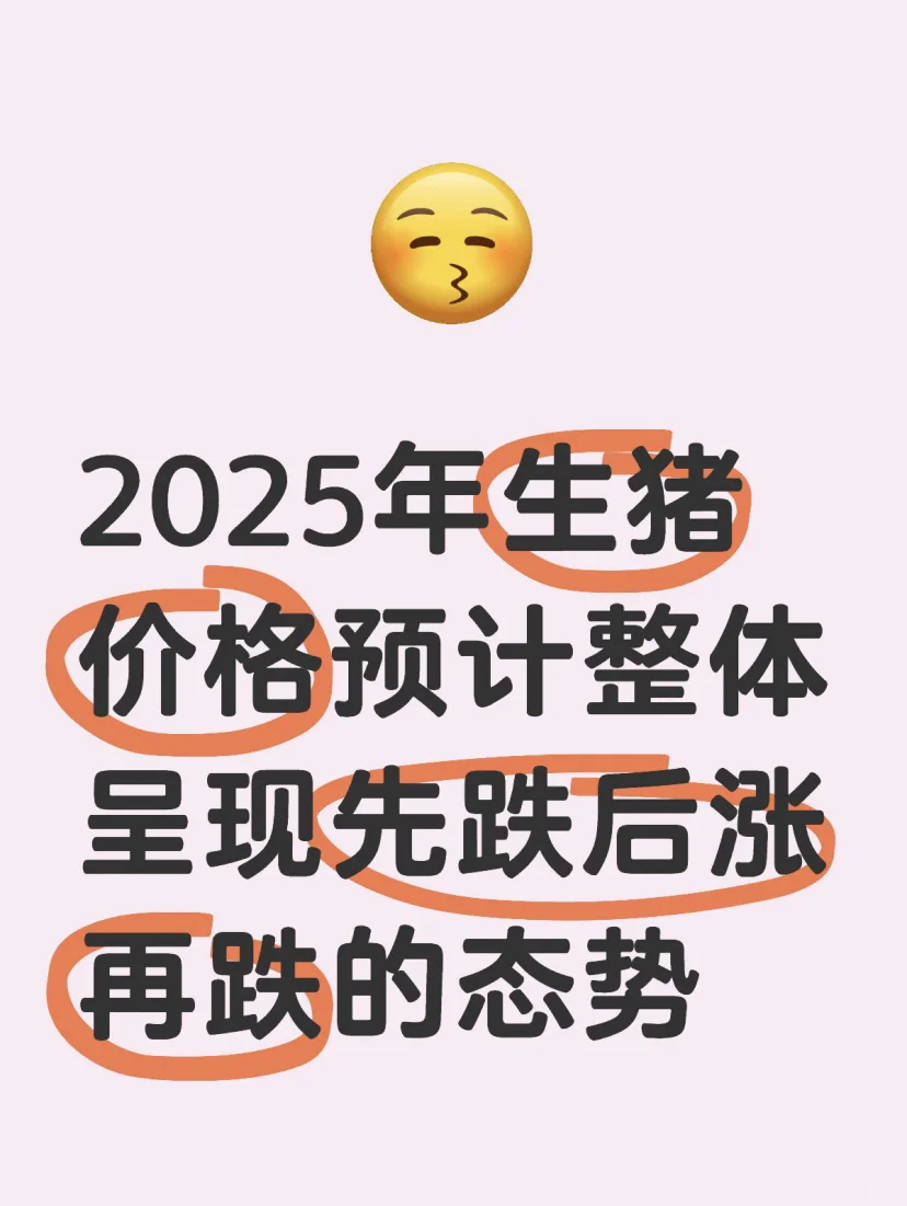 󵨲²2025