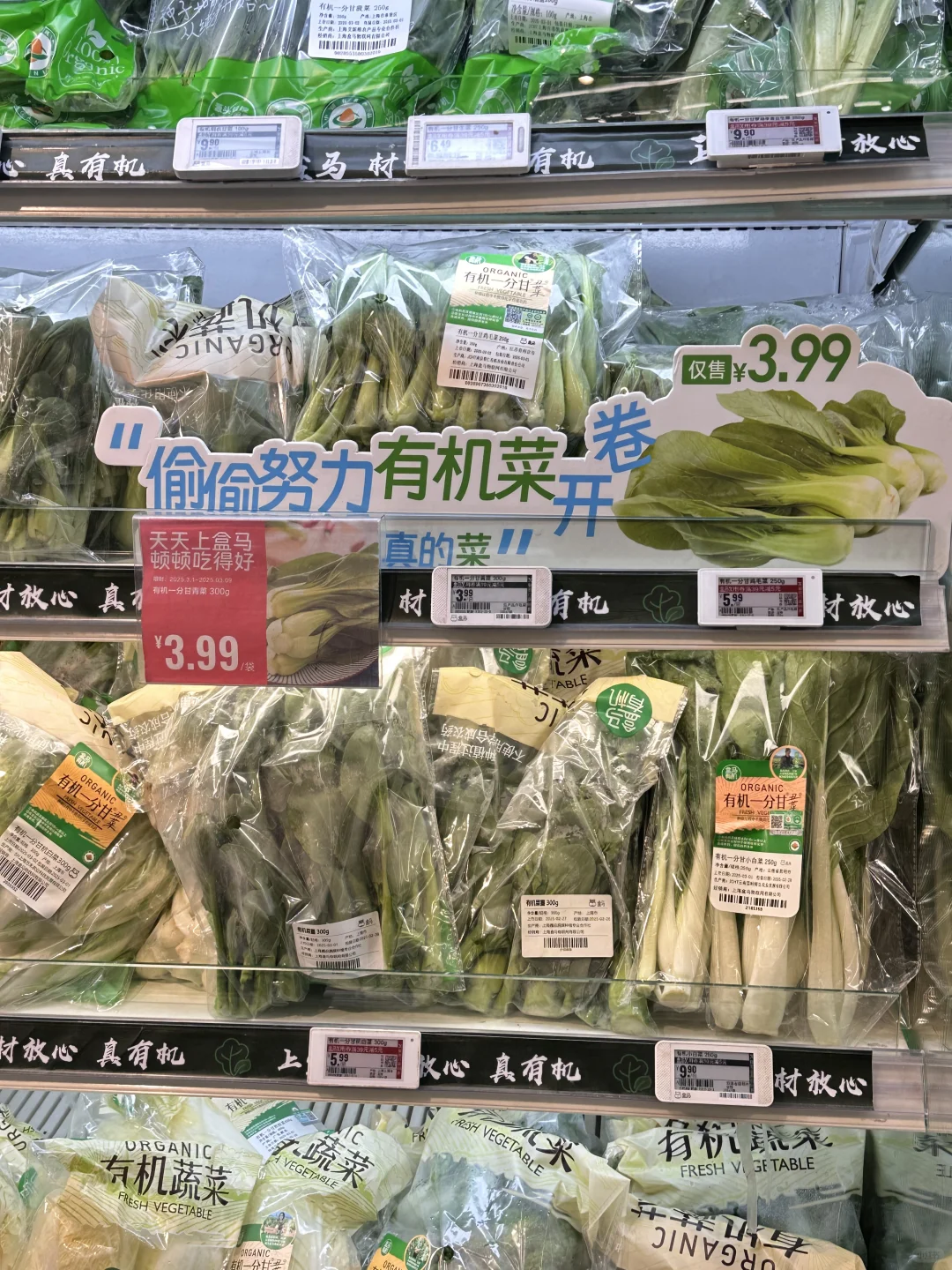 锟斤拷锟斤拷锟斤拷始锟斤拷锟桔革拷锟斤拷锟金！猴拷锟斤拷img.bim99.cn锟剿ｏ拷