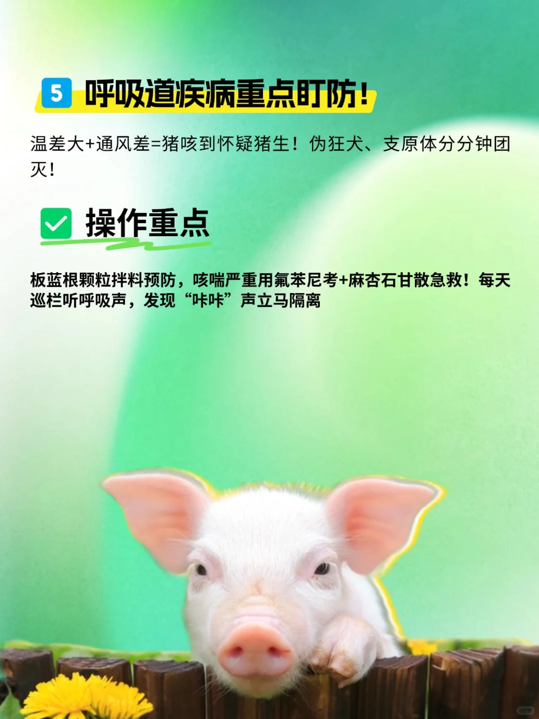 ؼڣ5з??