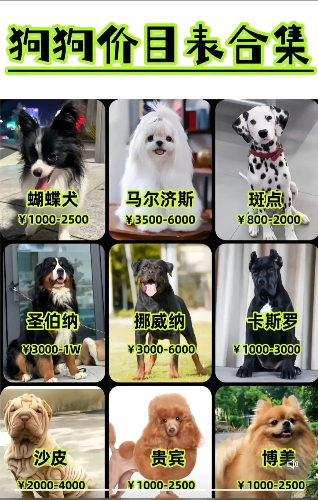 ����۸���������ϲ�img.bim99.cn���