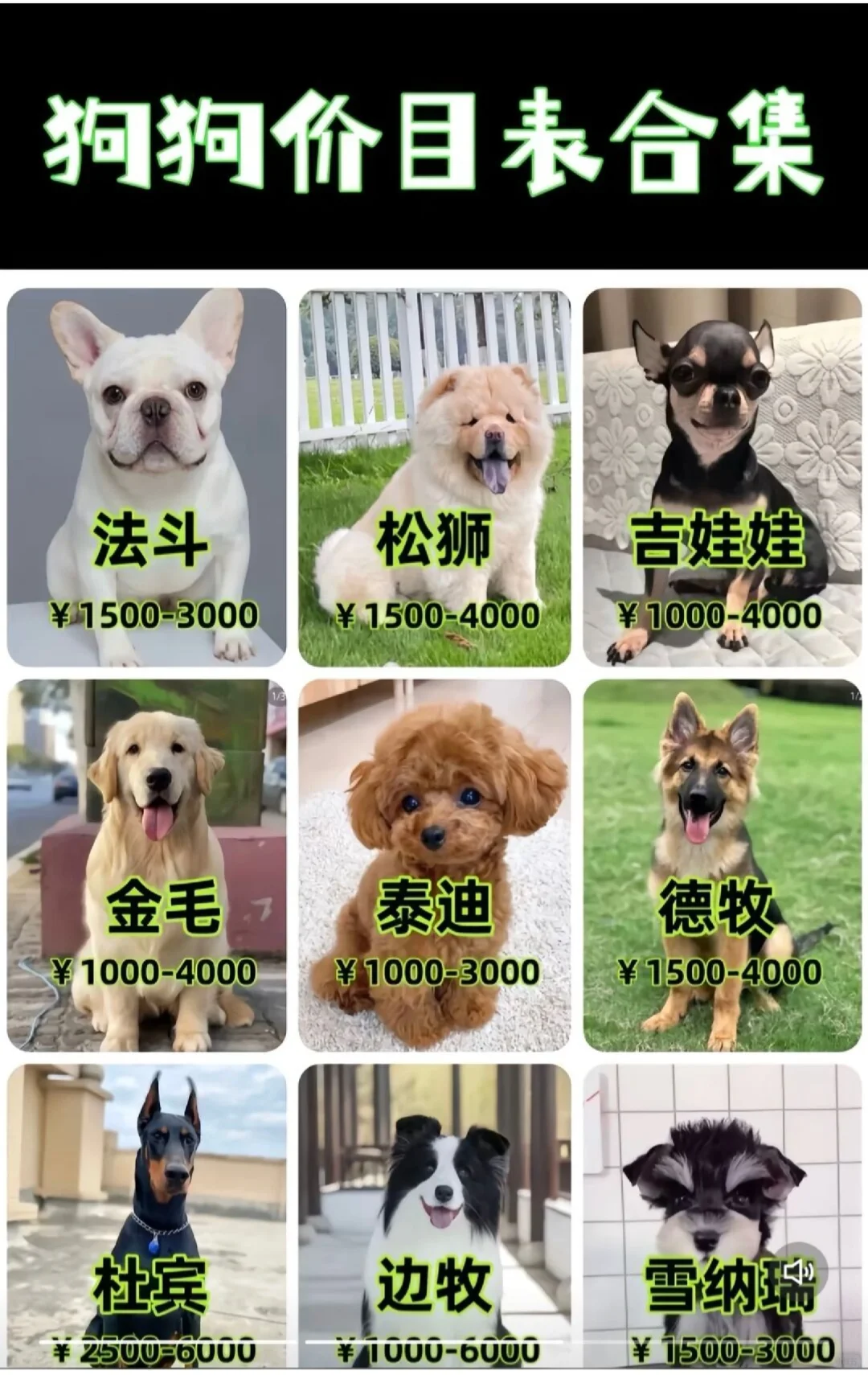 ����img.bim99.cn����ȳ�Ŀ���˼����