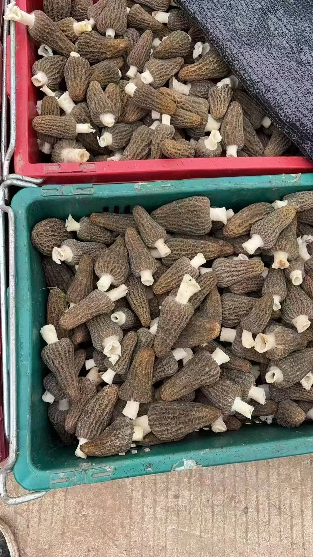 �������Ǿ�����ϲ�ˣ����ǲ�����