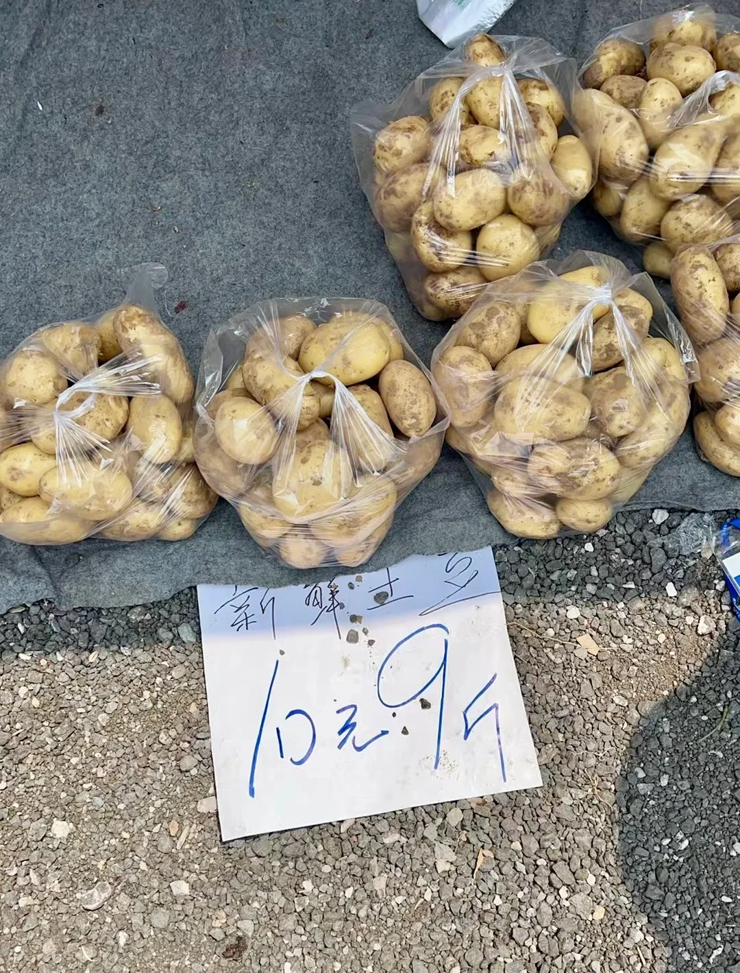 �����̫����img.bim99.cntyle=