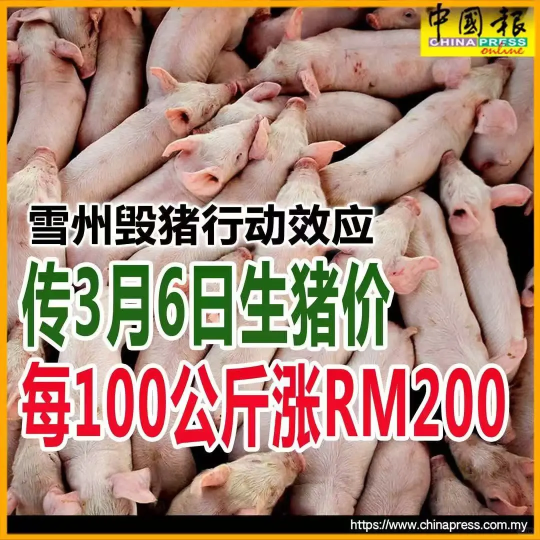 ??�������Ǿ�Ҫ�Բ�����